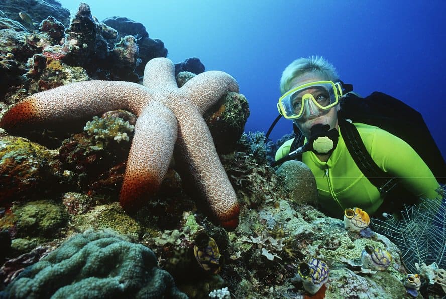 Scuba Diving