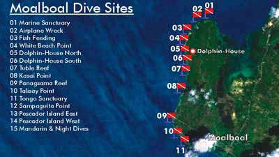 Moalboal Diving Site