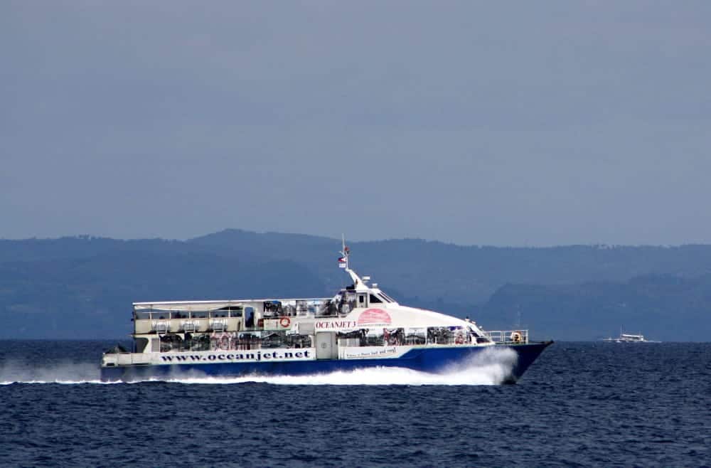 Should Come to Bohol