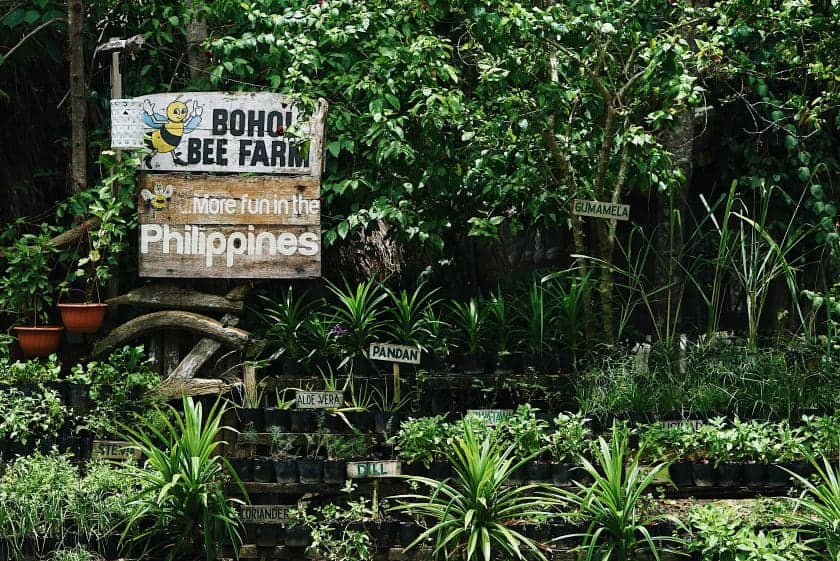 Bohol Bee Farm